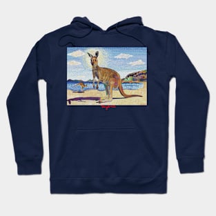 Kangaroos on beach Hoodie